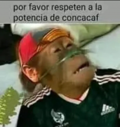 Imagen del hilo